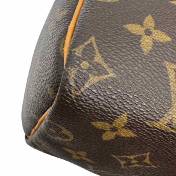 LOUIS VUITTON Monogram Canvas Speedy 25 (Pre-Owned)
