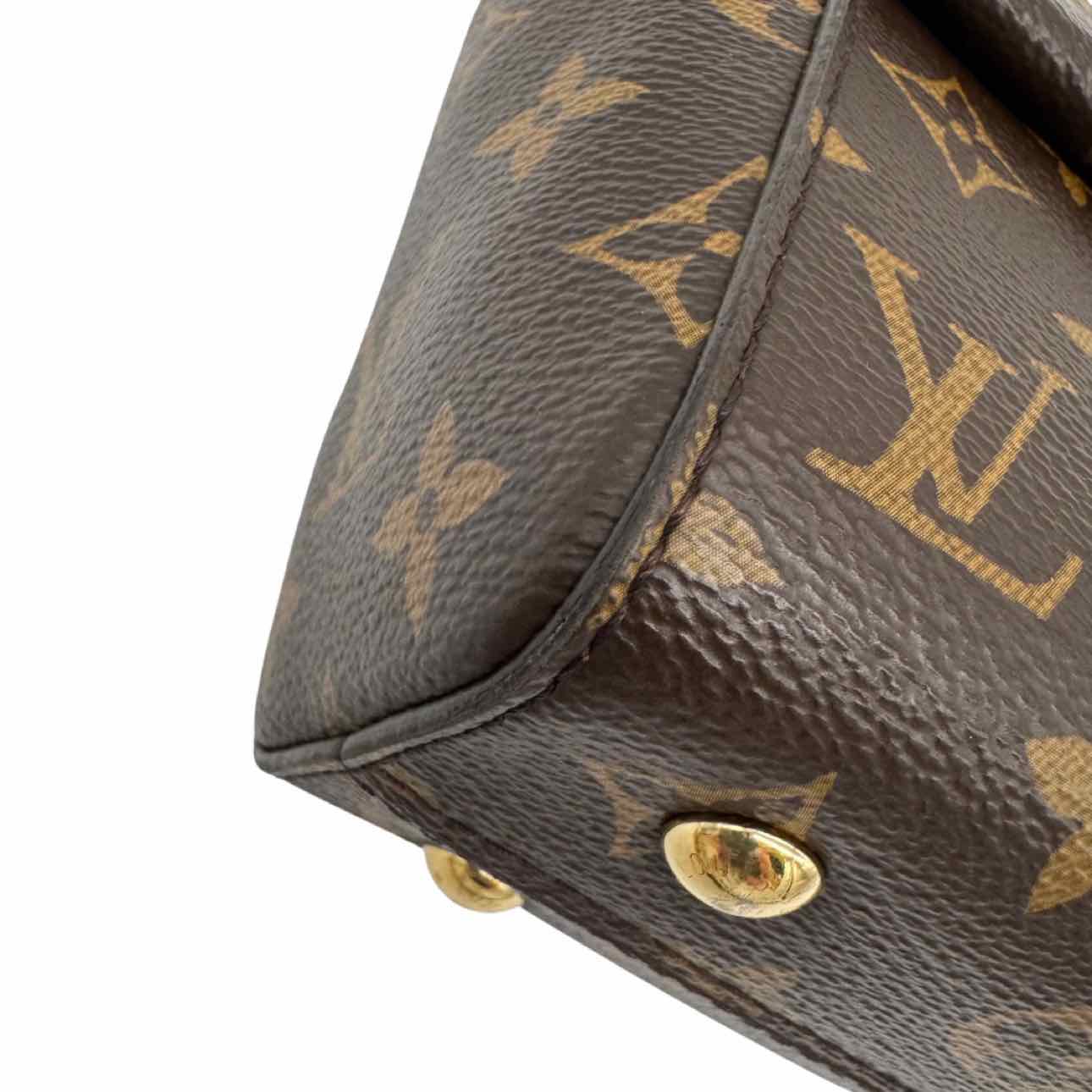 LOUIS VUITTON Monogram Canvas Mini Cluny Crossbody