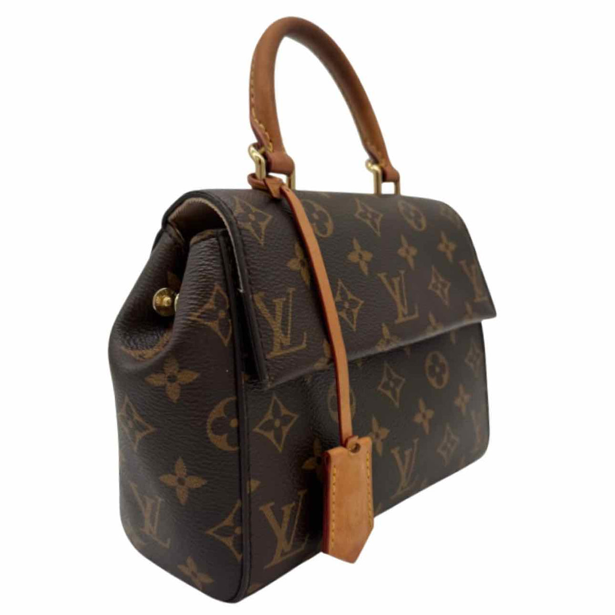 LOUIS VUITTON Monogram Canvas Mini Cluny Crossbody