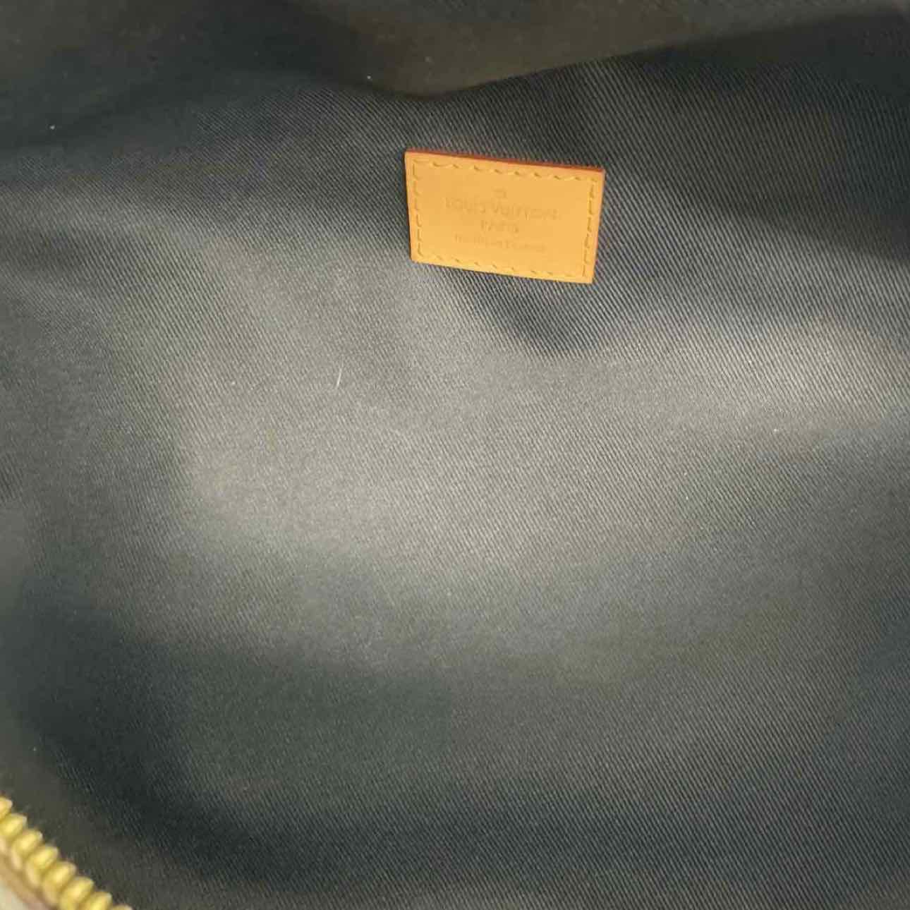 LOUIS VUITTON Monogram Canvas Bumbag Brown