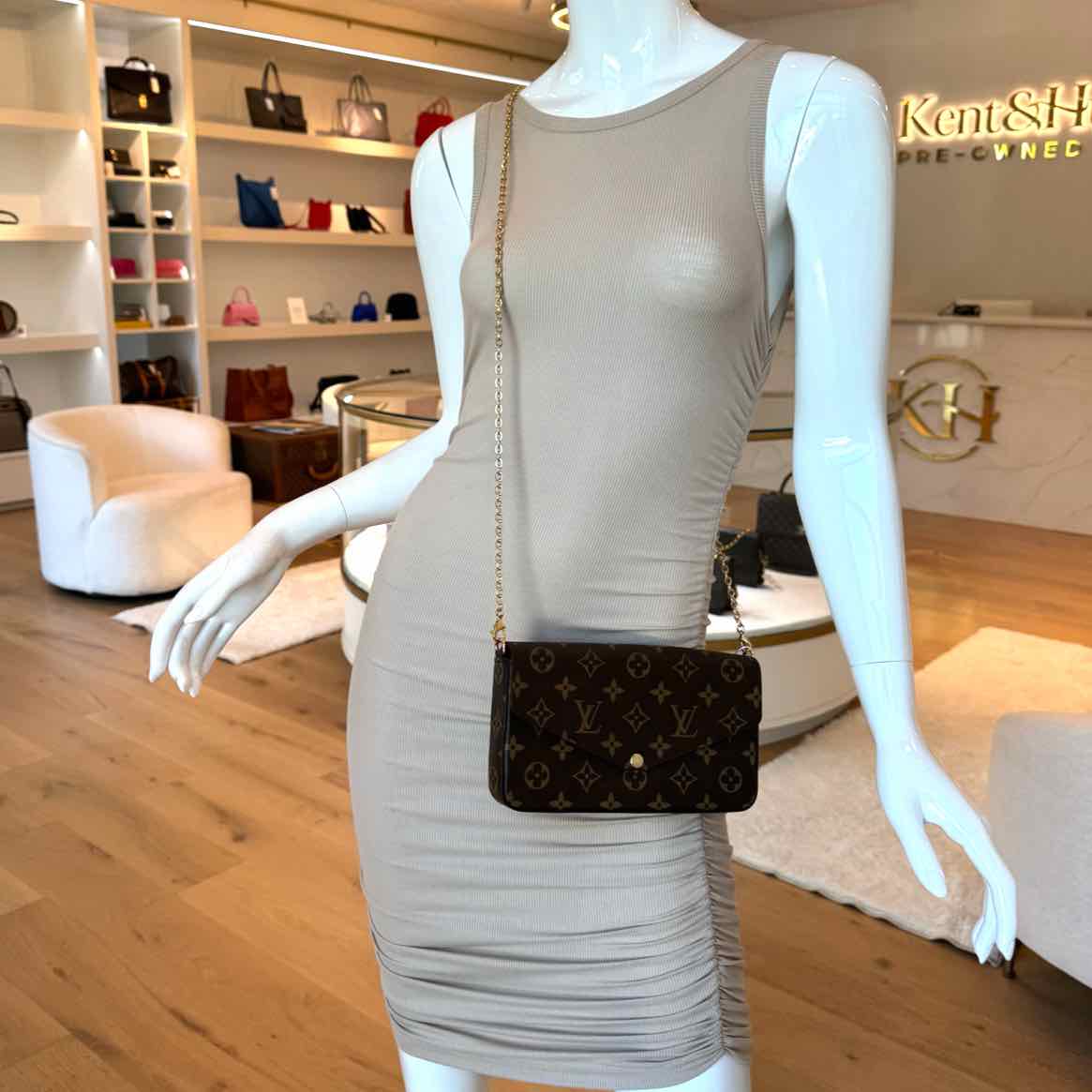 LOUIS VUITTON Monogram Canvas Pochette Felicie Shoulder Bag