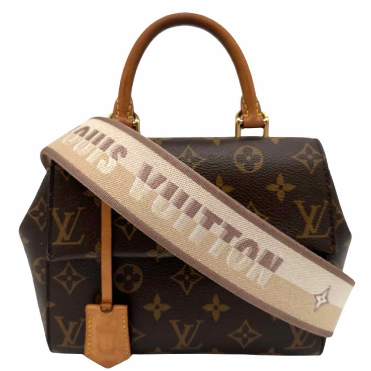 LOUIS VUITTON Monogram Canvas Mini Cluny Crossbody
