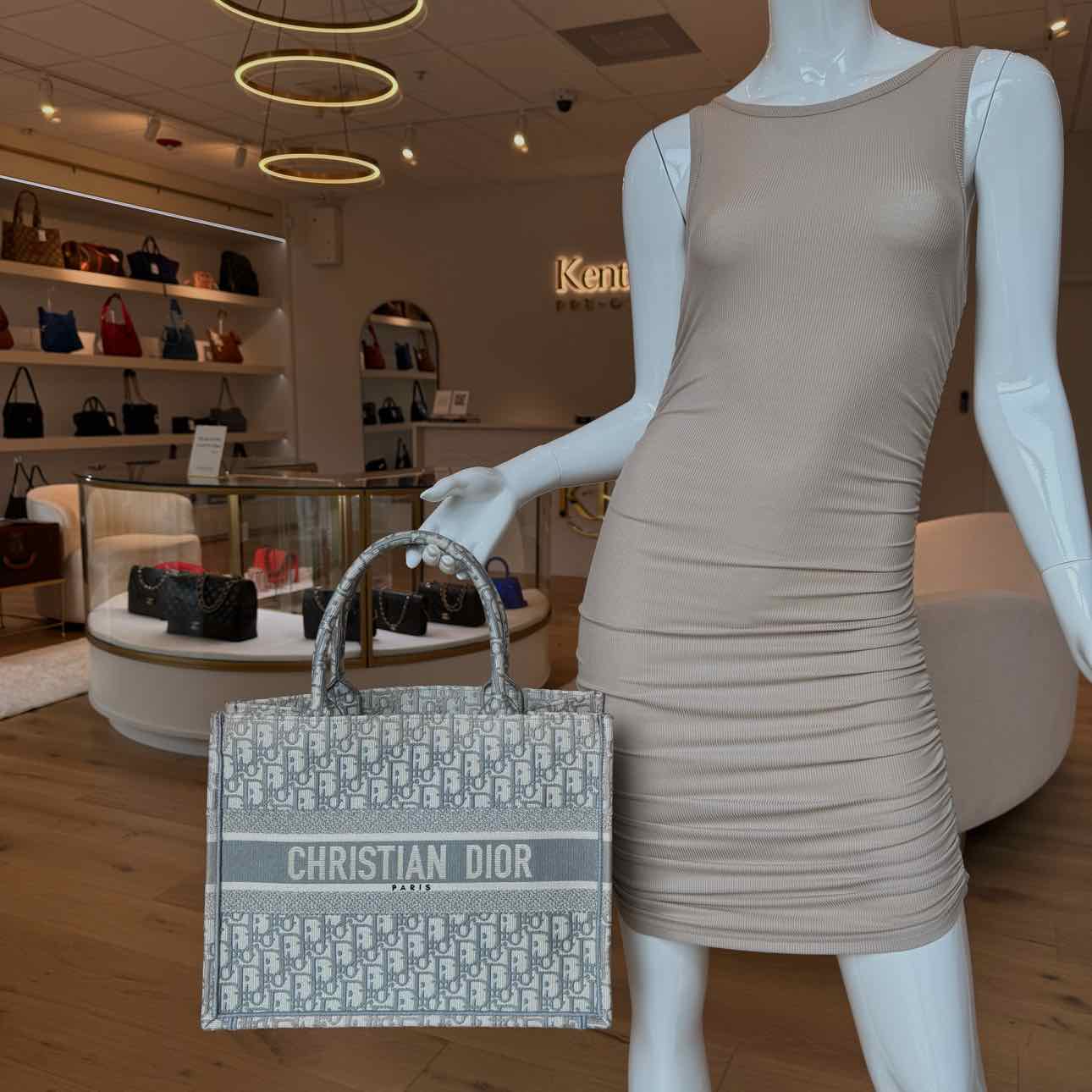 DIOR Canvas Medium Book Tote Ecru and Gray