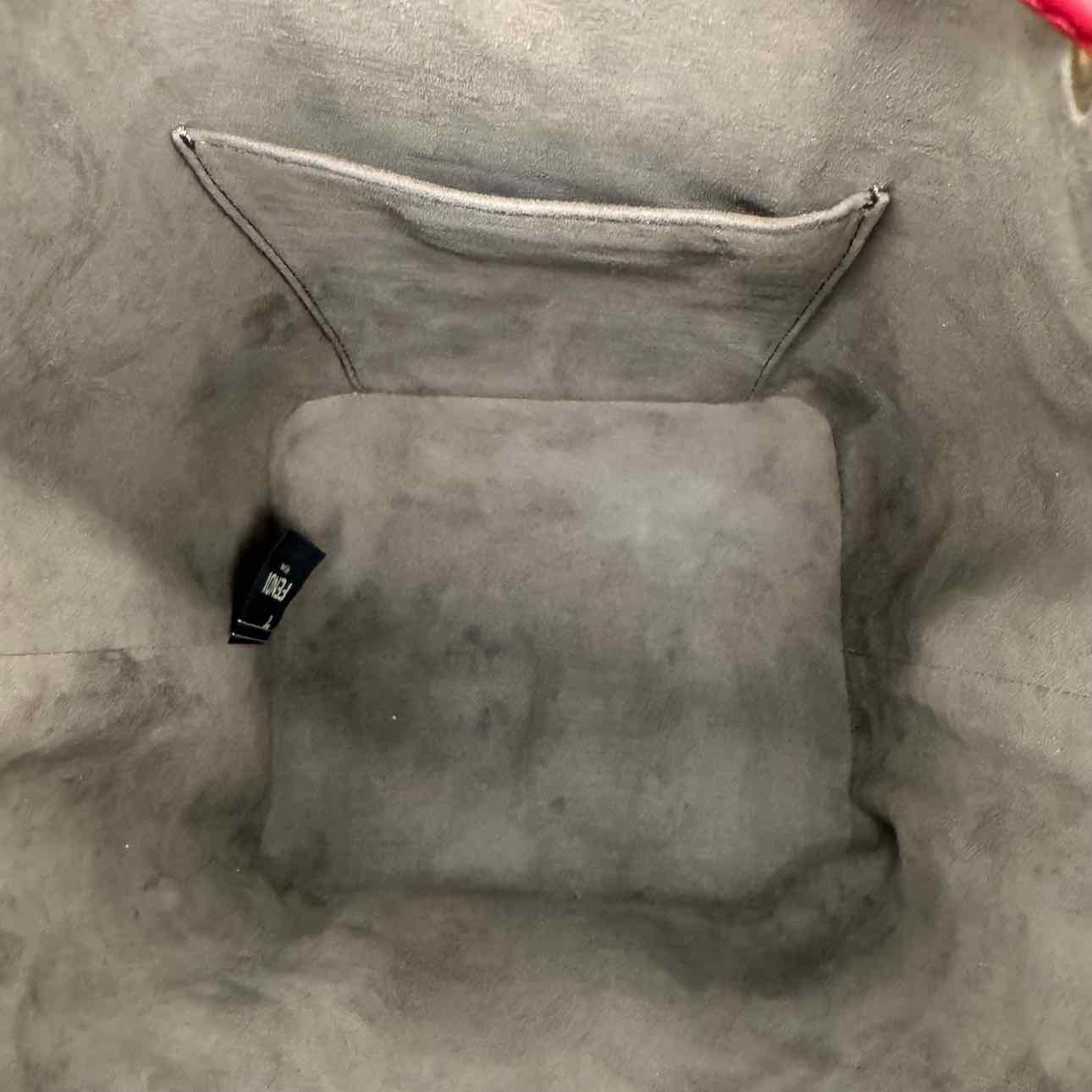 FENDI Vitello Grace F Is Fendi 1974 Embossed Grande Mon Tresor Bucket Bag