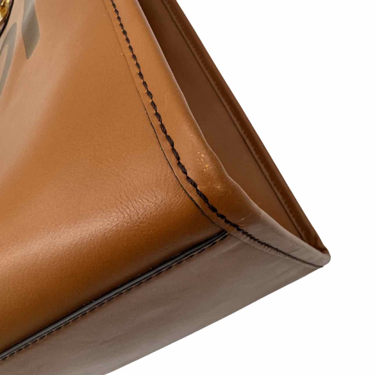 FENDI Vitello King Large Plexiglass Sunshine Shopper