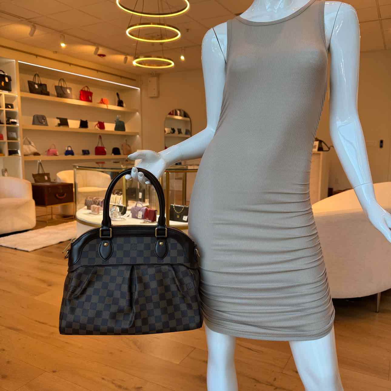 LOUIS VUITTON Damier Ebene Canvas Trevi PM Handbag Brown