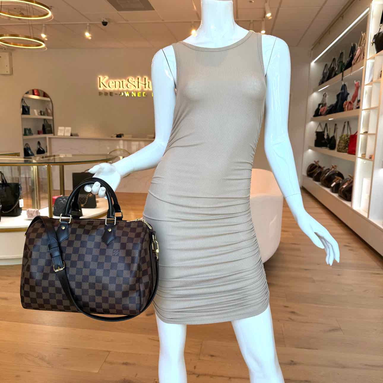 LOUIS VUITTON Damier Ebene Speedy 30 (Pre-Owned)
