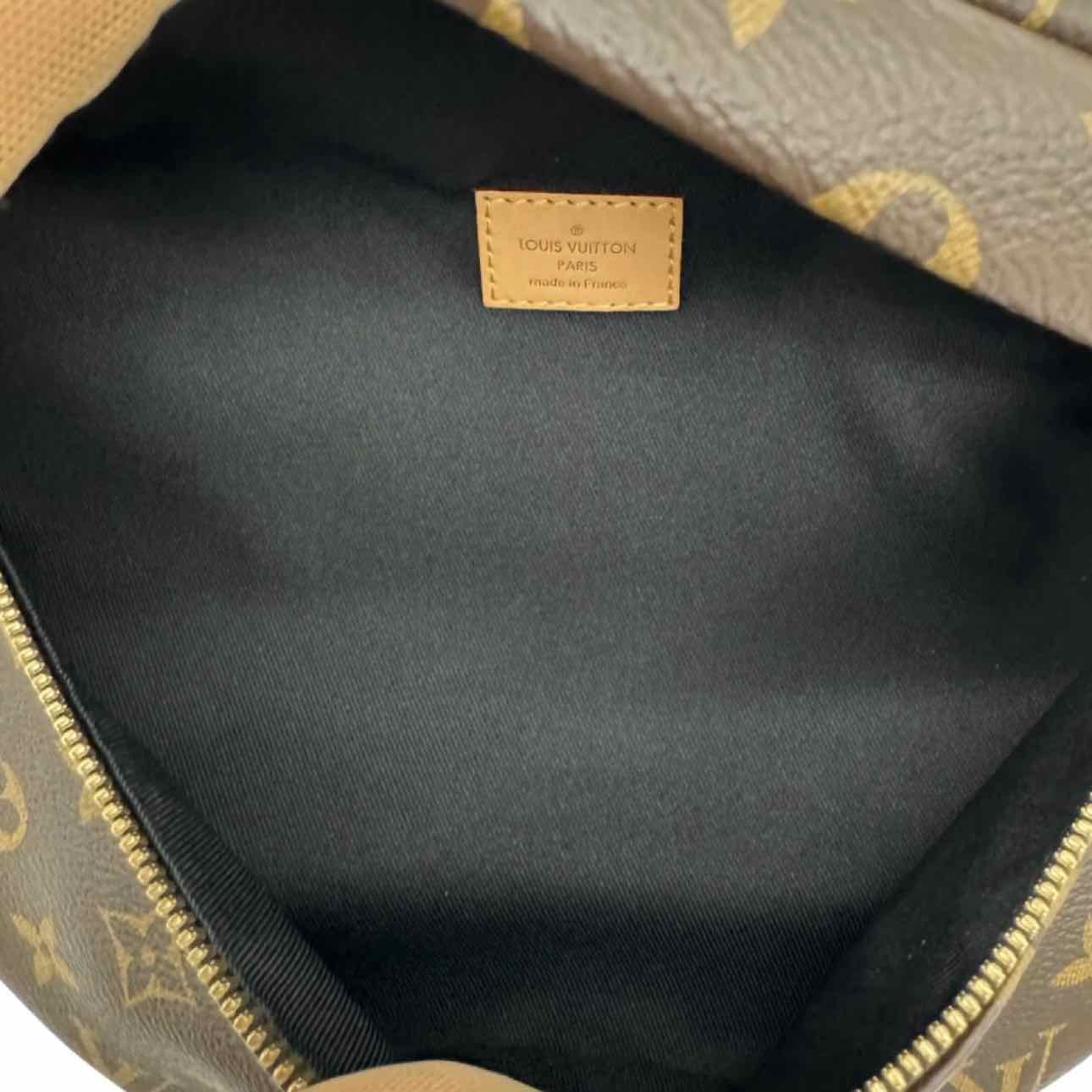 LOUIS VUITTON Monogram Canvas Bumbag Brown