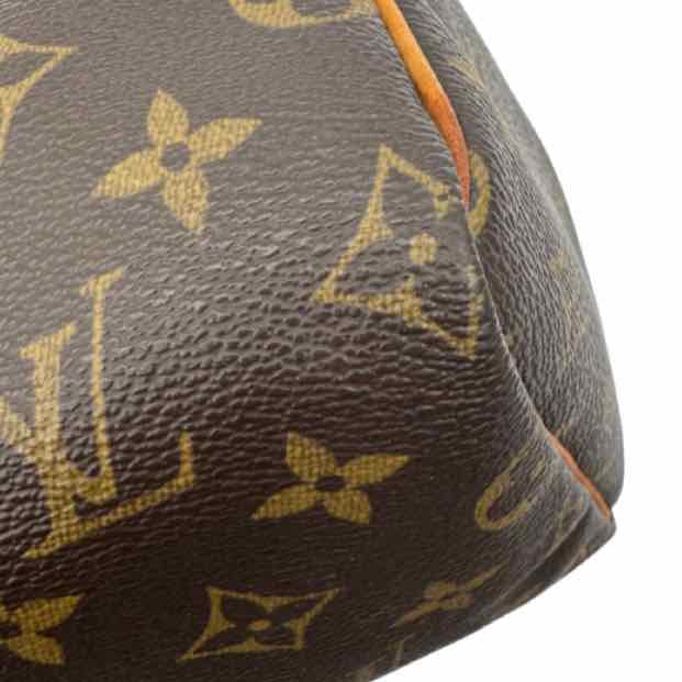 LOUIS VUITTON Monogram Canvas Speedy 25