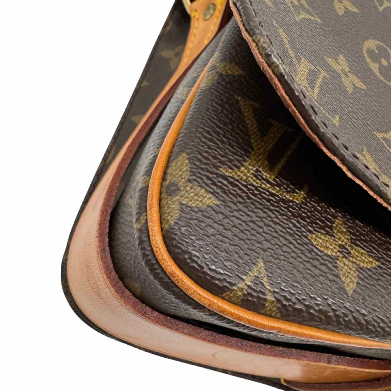 LOUIS VUITTON Monogram Canvas Cartouchiere PM Crossbody