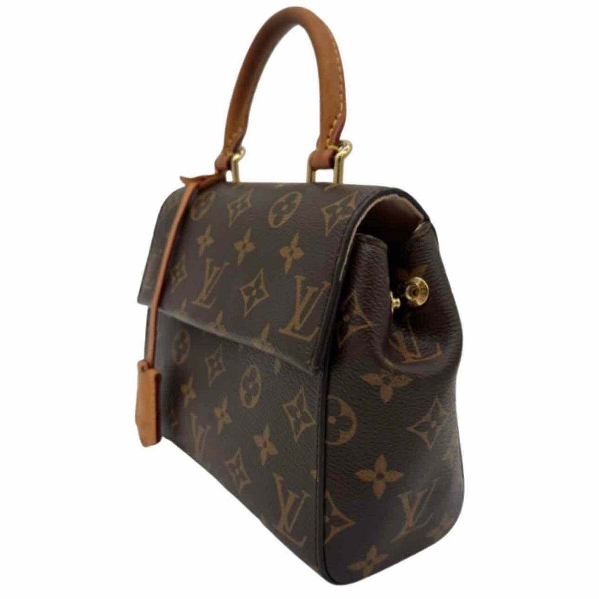 LOUIS VUITTON Monogram Canvas Mini Cluny Crossbody