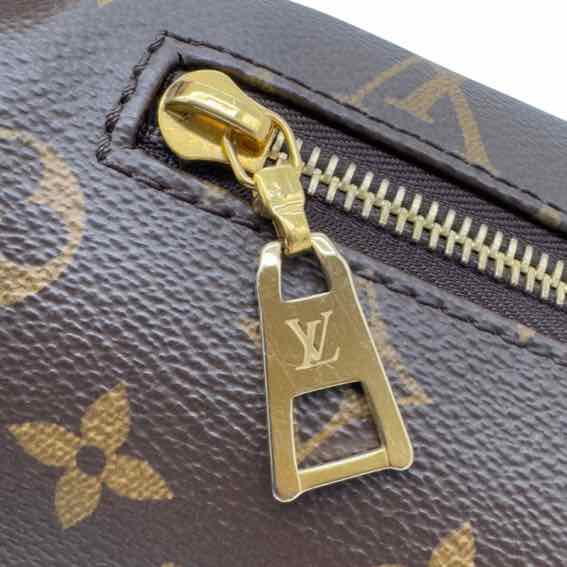 LOUIS VUITTON Monogram Canvas Bumbag (Pre-Owned)