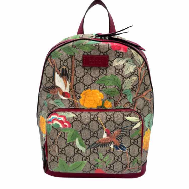 GUCCI Supreme Cavas Tian Web Small Backpack Red Trim (Pre-Owned)