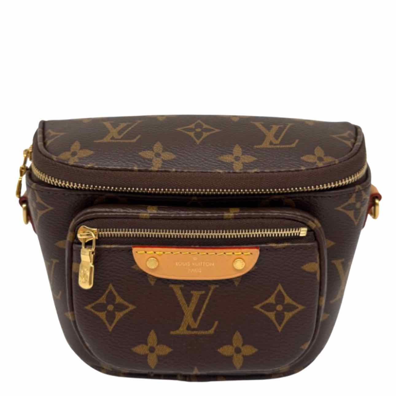 LOUIS VUITTON Monogram Canvas Mini Bumbag Brown