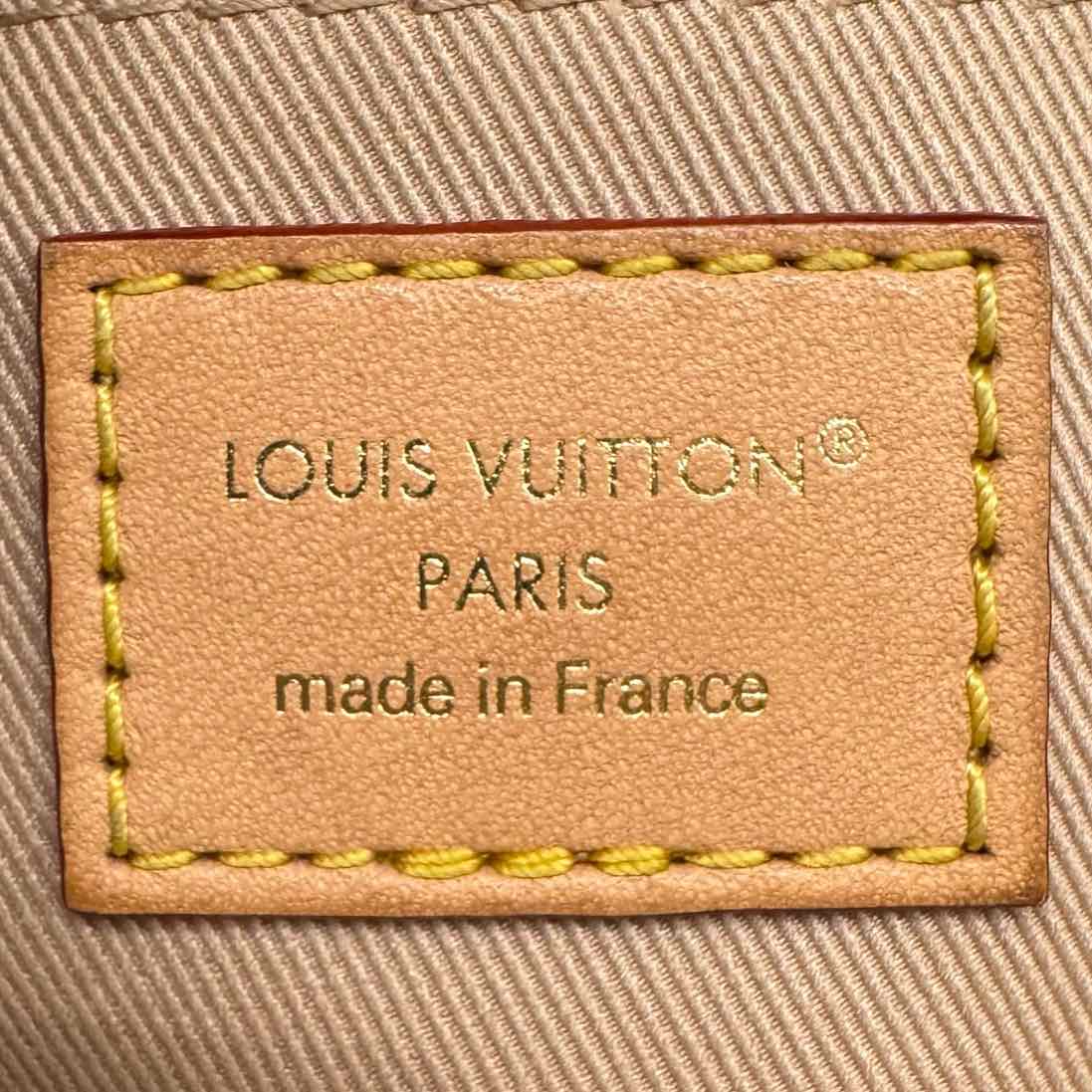 LOUIS VUITTON Monogram Canvas Mini Cluny Crossbody