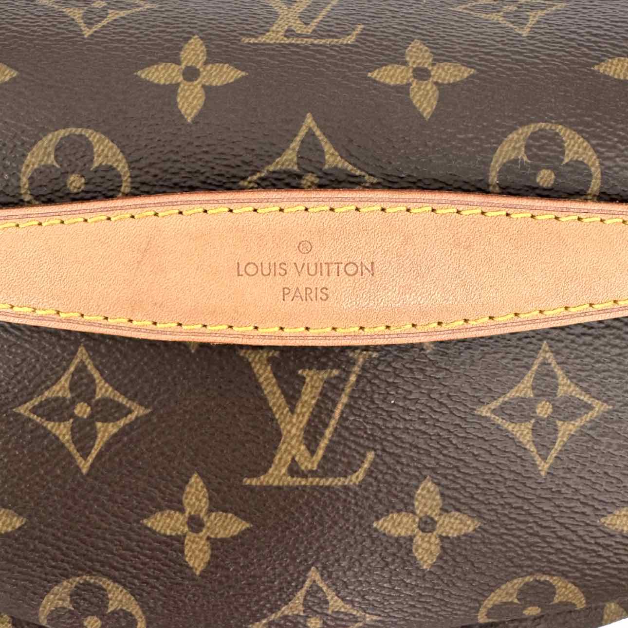 LOUIS VUITTON Monogram Canvas Bumbag Brown