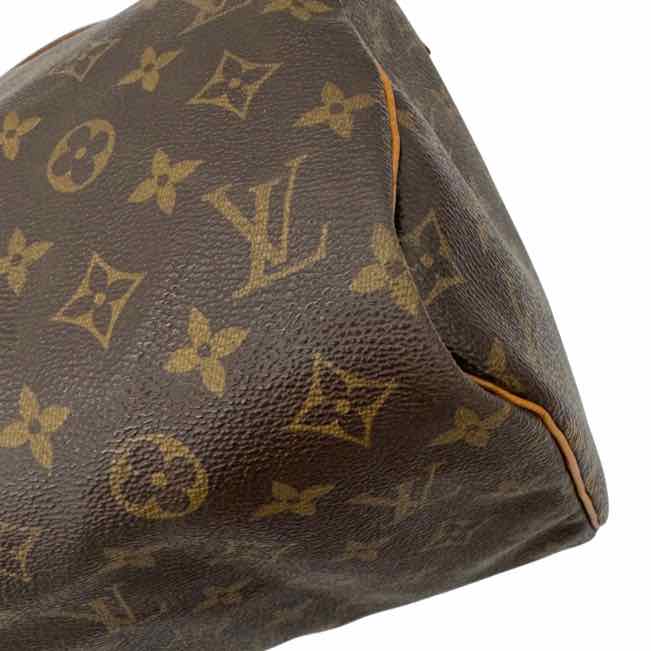 LOUIS VUITTON Monogram Canvas Speedy 30 (Pre-Owned)