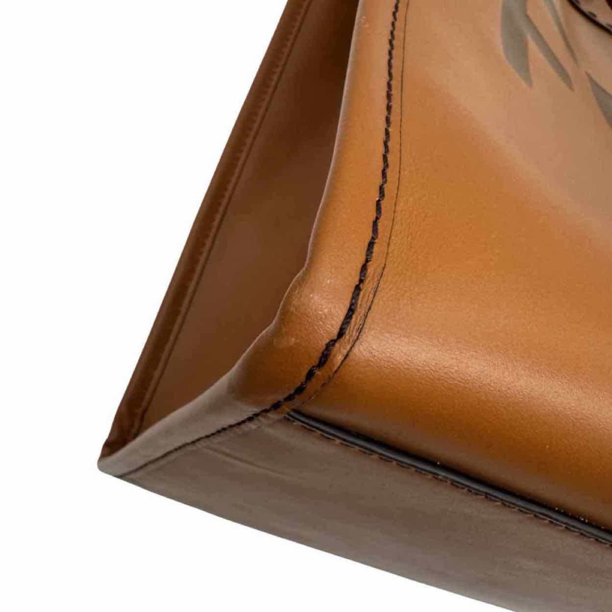 FENDI Vitello King Large Plexiglass Sunshine Shopper