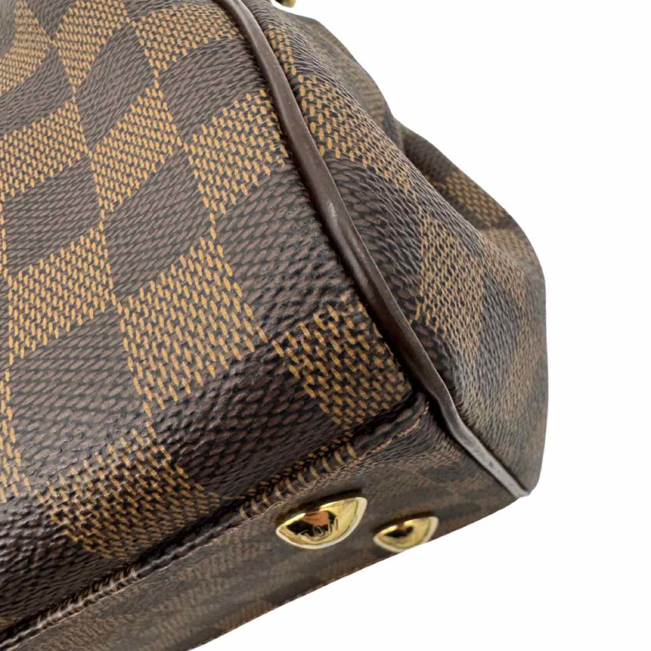 LOUIS VUITTON Damier Ebene Canvas Trevi PM Handbag Brown