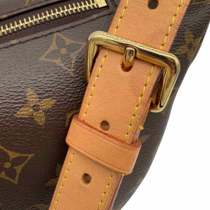 LOUIS VUITTON Monogram Canvas Bumbag (Pre-Owned)