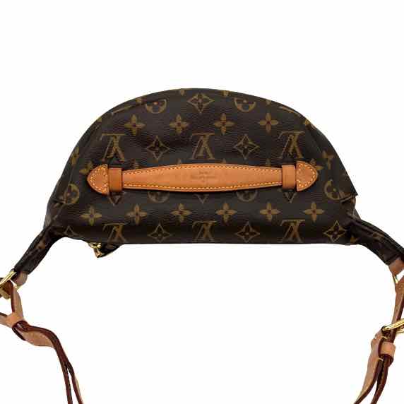 LOUIS VUITTON Monogram Canvas Bumbag (Pre-Owned)
