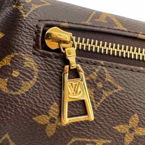 LOUIS VUITTON Monogram Canvas Bumbag (Pre-Owned)