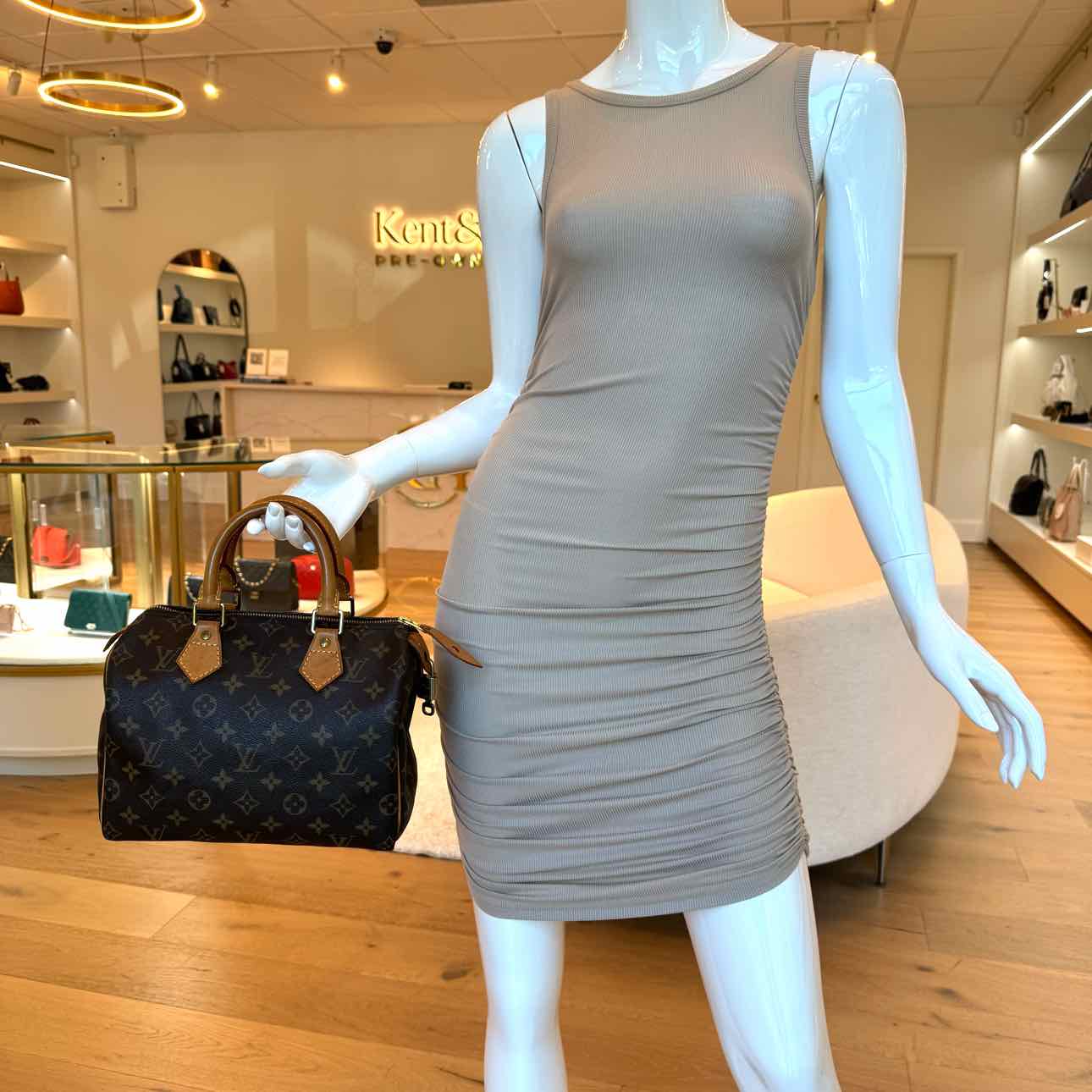 LOUIS VUITTON Monogram Canvas Speedy 25