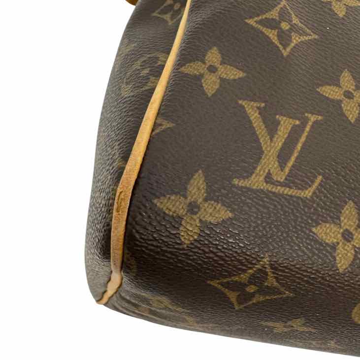 LOUIS VUITTON Monogram Speedy 30 (Pre-Owned)