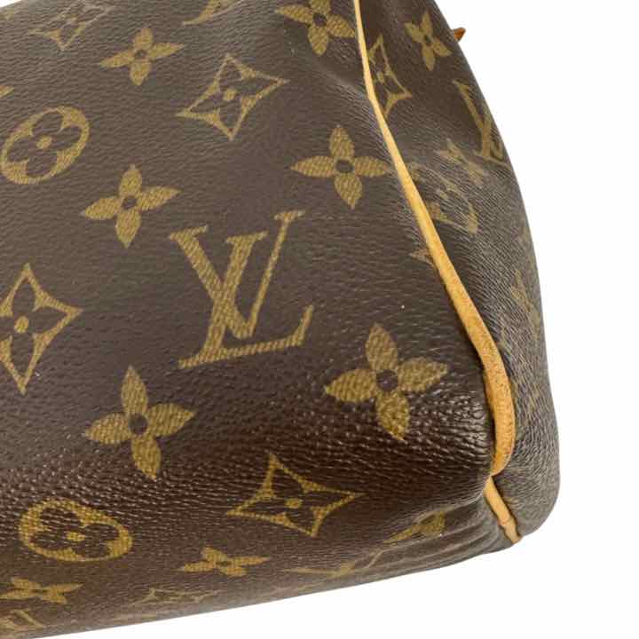 LOUIS VUITTON Monogram Speedy 30 (Pre-Owned)
