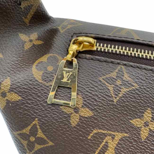 LOUIS VUITTON Monogram Canvas Bumbag (Pre-Owned)