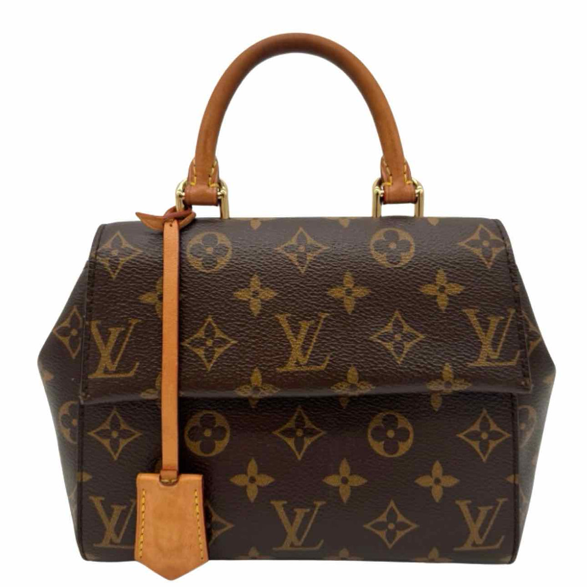 LOUIS VUITTON Monogram Canvas Mini Cluny Crossbody