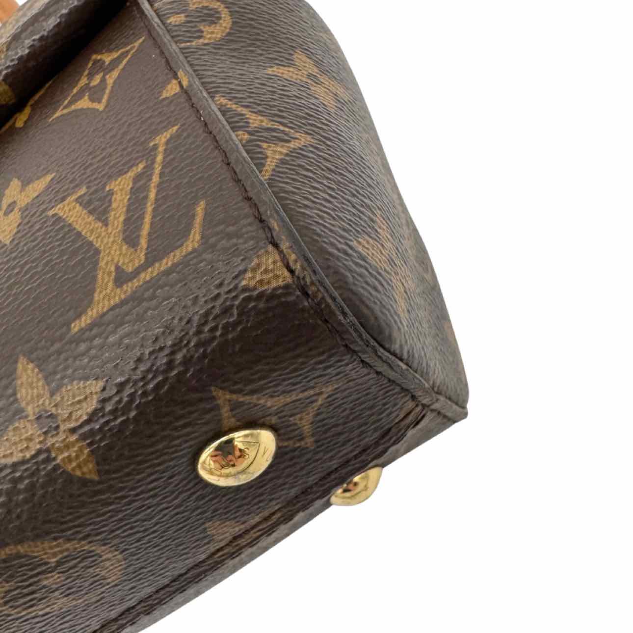 LOUIS VUITTON Monogram Canvas Mini Cluny Crossbody