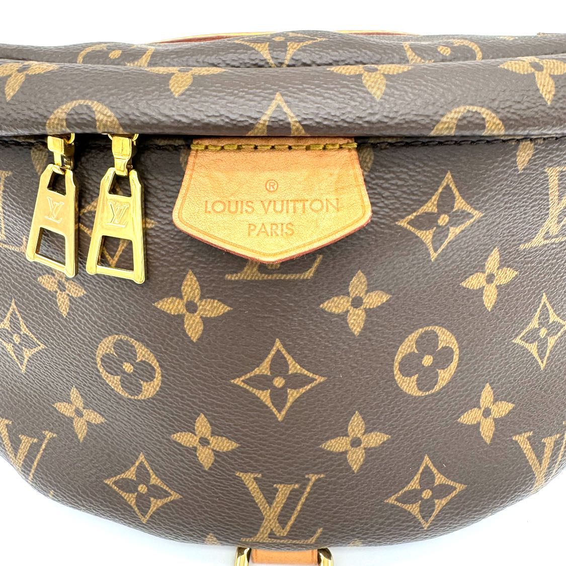 Louis Vuitton Monogram Bumbag (Pre-Owned)