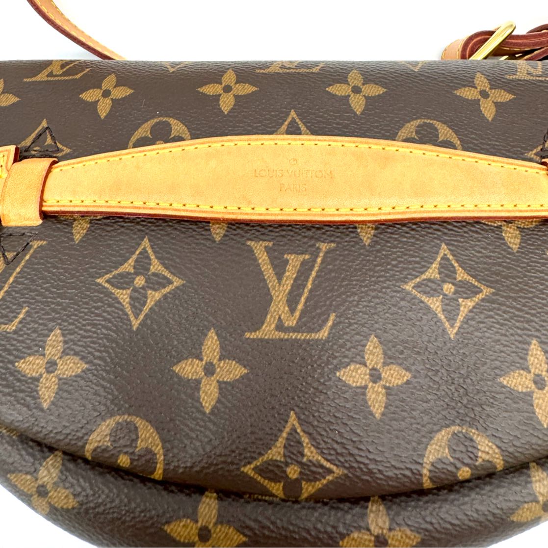 Louis Vuitton Monogram Bumbag (Pre-Owned)